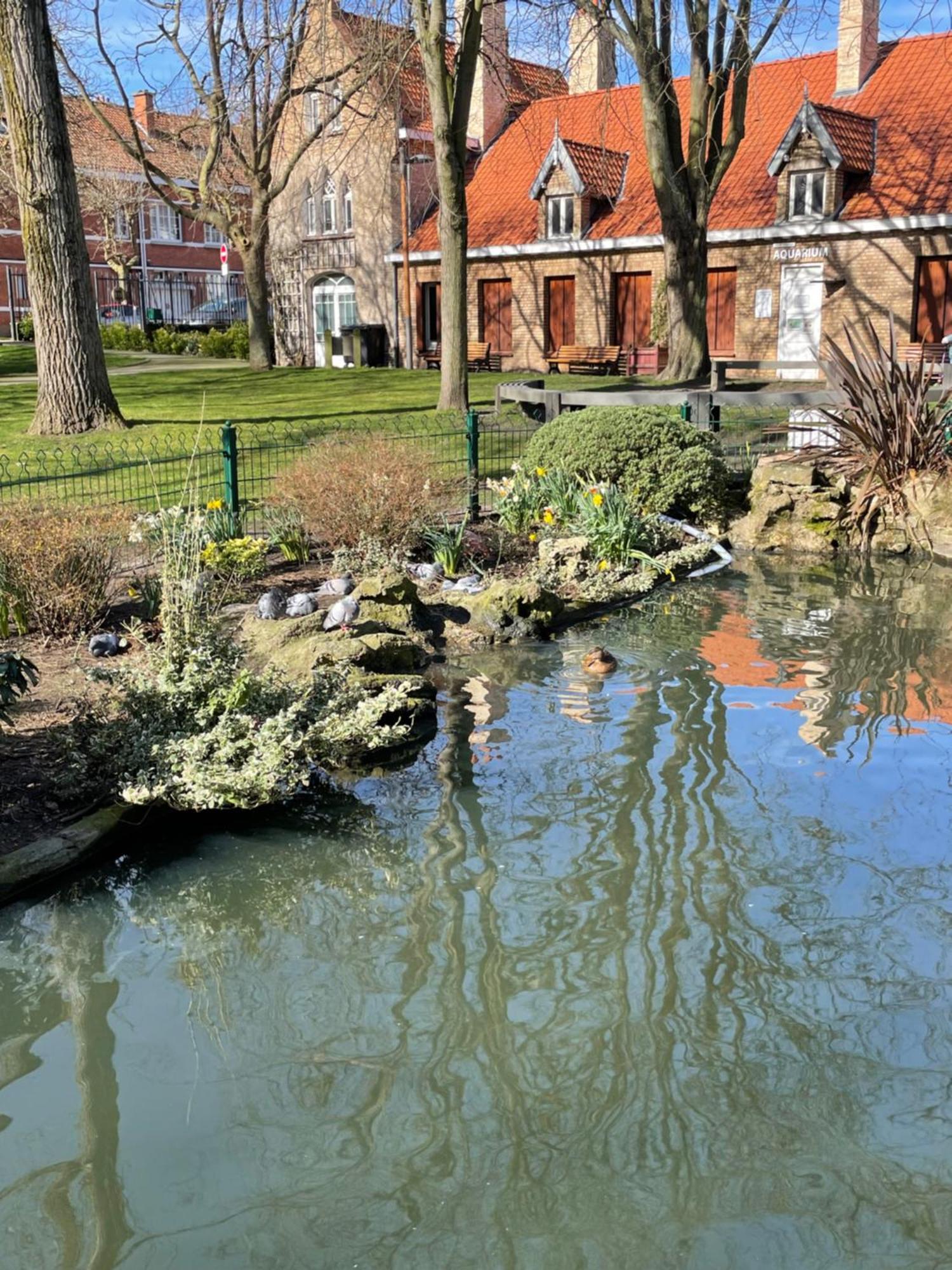 La Petite Malouine Villa Dunkirk ภายนอก รูปภาพ